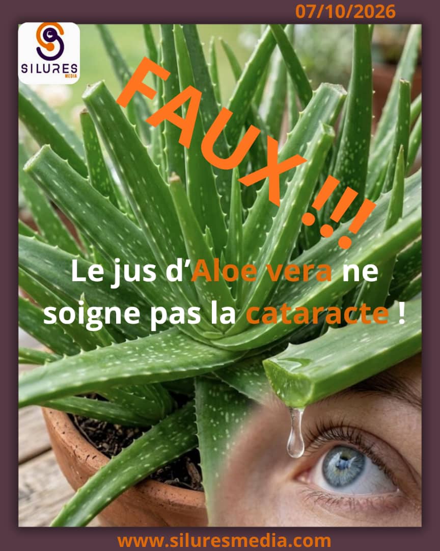FAUX ! : Le jus d’Aloe vera ne soigne pas la cataracte
